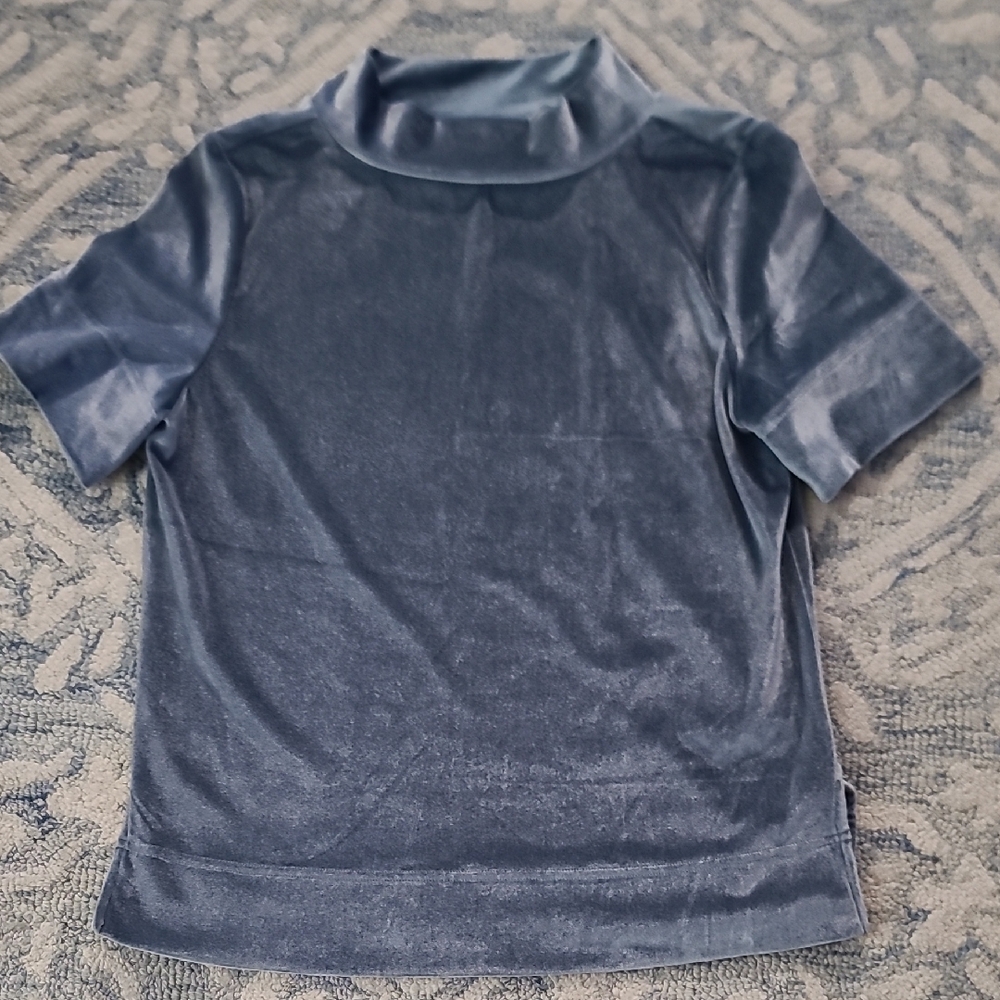 Anthropologie Short Sleeve Blue Velvet Tee